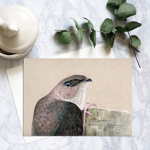 Carte postale oiseau martinet ramoneur, cartes postales oiseau, carte postale oiseau martinet ramoneur réaliste, impressions d'art martinet ramoneur pastel doux. SPC-109