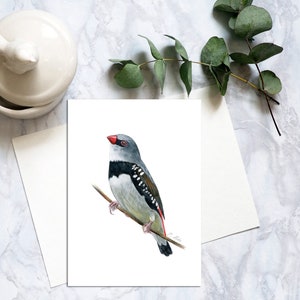 Carte postale oiseau queue de feu losange, cartes postales oiseau aquarelle, carte postale oiseau queue de feu losange réaliste, carte correspondant oiseau queue de feu losange. PC-103