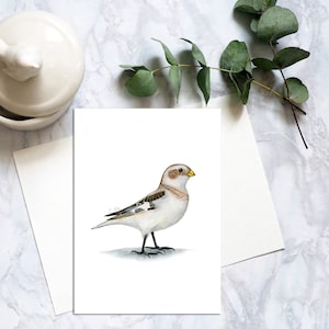 Carte postale oiseau bruant des neiges, cartes postales aquarelle oiseaux, carte postale oiseau hivernal blanc réaliste, carte correspondant bruant des neiges. PC-101