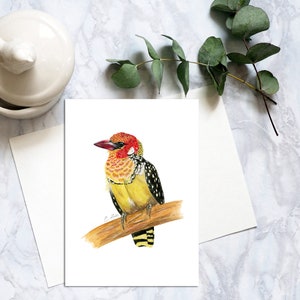Carte postale oiseau barnet rouge et jaune, cartes postales aquarelle oiseaux, carte postale oiseau rouge et jaune réaliste, carte penpal barnet. PC-102
