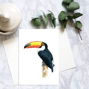 Carte postale oiseau toco toucan, carte postale oiseau crayon de couleur, carte postale oiseau tropical réaliste, correspondance toco toucan carte. PC-111