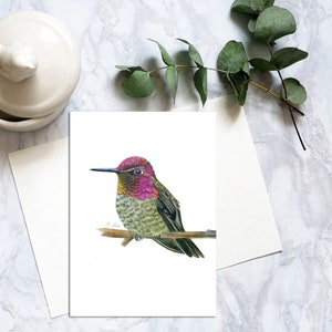 Carte postale oiseau colibri d'Anna, carte postale oiseau aux crayons de couleur, carte postale colibri réaliste, carte colibri correspondant. PC-107