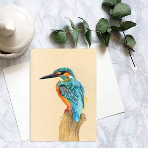 Carte postale martin-pêcheur commun, carte postale oiseau aux crayons de couleur, carte postale martin-pêcheur réaliste, carte martin-pêcheur correspondant. PC-110