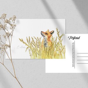 Carte postale renard roux, impression d'art aux crayons de couleur pour une traversée, carte postale de correspondant, carte postale d'animal de la forêt, impression d'art renard roux. PC-121