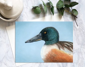 Northern Shoveler Bird Postcard, Bird Postcards, Realistic Soft Pastel Duck Bird Postcard, Penpal Northern Shoveler Bird Art Prints. SPC-101