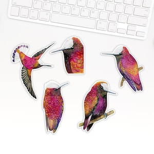 Autocollants en vinyle colibris Snowcap, autocollants en vinyle oiseau mignon, autocollants décalcomanies oiseau. DC-102