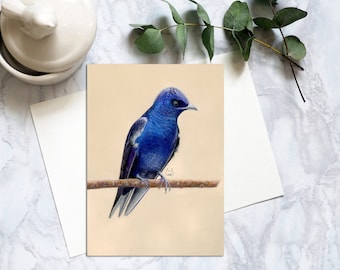 Purple Martin Bird Postcard, Bird Postcards, Realistic Purple Martin Bird Postcard, Soft Pastel Penpal Purple Martin Art Prints. SPC-105