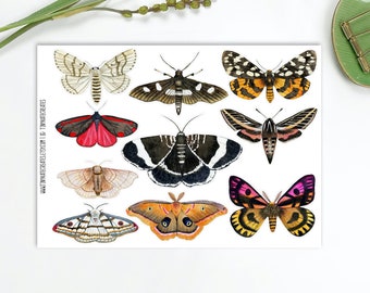Moth Sticker Set 1, Entomology Butterfly Insects Junk Journal Stickers, Insect Moth Ephemera, Colorful PenPal Moth Stickers. A-208