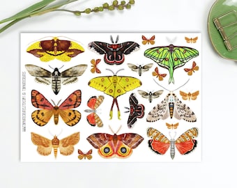 Moth Sticker Set 2, Entomology Butterfly Insects Junk Journal Stickers, Insect Moth Ephemera, Colorful PenPal Moth Stickers. A-209