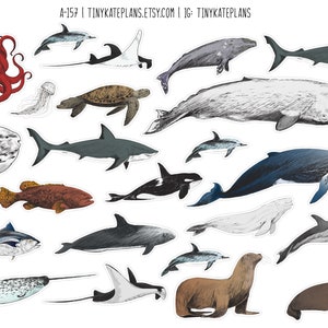 Sea Animal Planner Stickers, Cute Fish Stickers, Sea Animal Scrapbooking Stickers, Fish Penpal Animal Stickers, Happy Mail Sticker. A-157