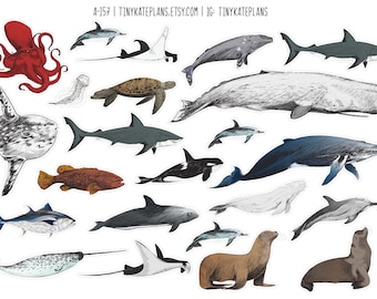 Sea Animal Planner Stickers, Cute Fish Stickers, Sea Animal Scrapbooking Stickers, Fish Penpal Animal Stickers, Happy Mail Sticker. A-157