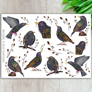 Europäischer Star-Planer-Aufkleber, alberne Vogel-Planer-Aufkleber, süße Vogel-Aufkleber, schwarze Vogel-Aufkleber, Vogel-Kunstdruck-Aufkleber. SBS-130
