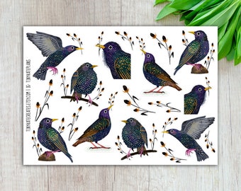 European Starling Planner Stickers, Silly Bird Planner Stickers, Cute Bird Stickers, Black Bird Stickers, Bird Art Print Stickers. SBS-130