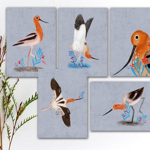Lot de cartes postales avocette d'Amérique, cartes postales oiseaux colorés, carte postale plume aquarelle oiseau, autocollants échassiers, impression d'art oiseau. SBC-122