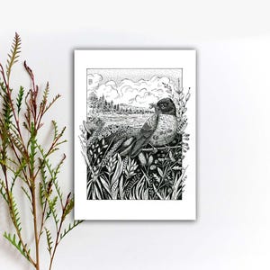 Carte postale merle d'Amérique, cartes postales oiseaux noir et blanc, autocollants autocollants merle d'Amérique, impressions d'art à la plume et à l'encre. PI-100