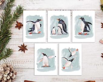 Gentoo Penguin Postcard Set, Cute Arctic Bird Postcard Print For Postcrossing, Christmas Penguin Penpal Postcard, Penguin Postcards. AC-216