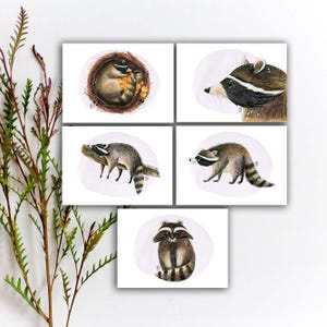 Puede incluir: Conjunto de cinco láminas artísticas con ilustraciones de acuarela de mapaches. Las láminas representan mapaches en varias poses, incluyendo uno acurrucado en un nido y otros de pie o caminando. Cada lámina tiene un fondo suave de color lila claro.