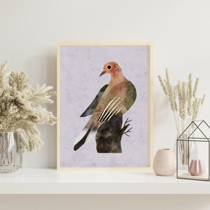 Mourning Dove Art Print, Mourning Dove Art Print, Colorful Bird Art Print, Mourning Dove Illustration Print, Bird Art Wall Decor. AP-100