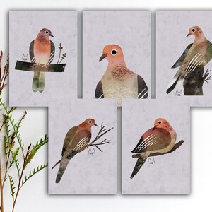 Ensemble de cartes postales aquarelles colombe en deuil, autocollants colombe en deuil, carte postale correspondant oiseau, autocollants oiseaux colorés, impressions d'art colombe oiseau. SBC-100