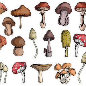 Mushroom Planner Stickers, Cozy Fall Planner Stickers, Fall Mushroom Stickers, Mushroom Bullet Journal Planner Stickers. T-149