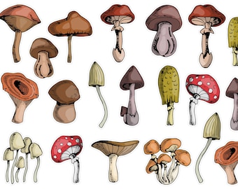 Stickers champignons champignons, stickers automne douillet, stickers champignons automne, stickers Bullet Journal champignons. T-149