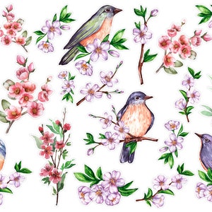 Adesivi per pianificatore di uccelli in anticipo di Pasqua ad acquerello, adesivi per pianificatore di Pasqua rosa, uccelli primaverili, adesivi per diario di proiettili, adesivi per penna. ES-125