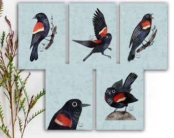 Red-Winged Blackbird Postcard Set, Blackbird Stickers, Bird Penpal Postcard, Colorful Bird Stickers, Watercolor Bird Art Prints. SBC-101