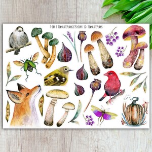 Stickers forestiers champignons, stickers feuillage forêt, stickers renard aquarelle, stickers oiseau bujo, stickers insecte. T-184