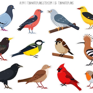 Mix di diversi adesivi per pianificatore di uccelli, adesivi per pianificatore di animali della foresta, adesivi per uccelli con arte piatta, adesivi Bujo per uccelli da cortile. A-199