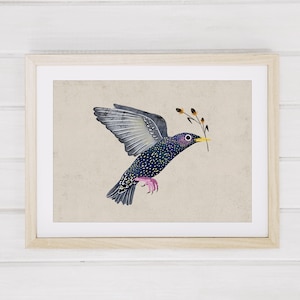 European Starling Bird Art Print, Cute Black Bird Art Print, Bird Art Print, Starling Illustration Print, Starling Art Wall Decor. AP-130