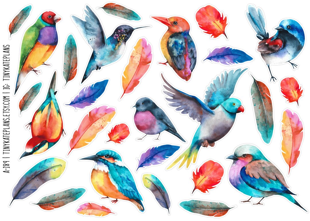 Watercolor Birds & Feather Planner Stickers, Colorful Bird Journal ...