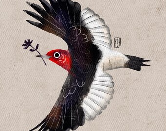 アート・デザイン・音楽 REDHEADED PECKERWOOD アート・デザイン・音楽 REDHEADED PECKERWOOD アート・デザイン