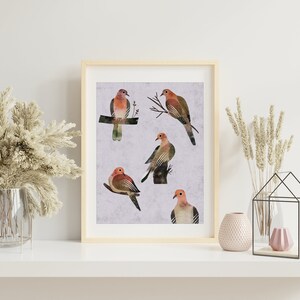 Mourning Dove Art Print, Mourning Dove Art Print, Colorful Bird Art Print, Mourning Dove Illustration Print, Bird Art Wall Decor. AP-100