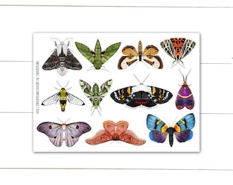 Fancy Moth Planner Stickers, Entomology Butterfly Insects Junk Journal Stickers, Insect Moth Ephemera, Colorful PenPal Moth Stickers. A-231