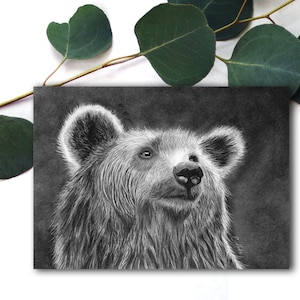 Cartolina dell'orso nero, cartolina con stampa artistica a carboncino per postcrossing, cartolina di penna, cartoline di animali della foresta, cartolina dell'orso carino. ANC-103
