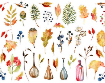 May include: A set of watercolor illustrations featuring autumn leaves, berries, branches, and bottles. The illustrations are in shades of brown, yellow, red, and green.