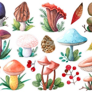 Cute Mushroom Set 2 Planner Stickers, Cozy Fall Planner Stickers, Fall Mushroom Stickers, Mushroom Bullet Journal Planner Stickers. T-152