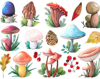Joli lot de 2 stickers champignons, stickers automne douillet, stickers champignons automne, stickers Bullet Journal champignons. T-152