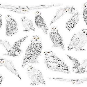 Stickers harfang des neiges, stickers oiseau, stickers oiseau blanc, stickers bujo oiseau forestier. A-227