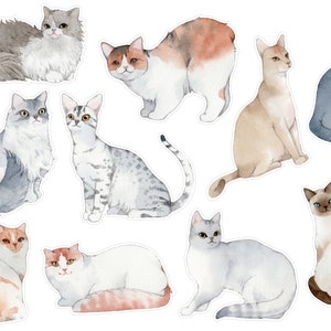 Watercolor Cat Breeds Planner Stickers, Cat Lover Planner Stickers, Cat Bullet Journal Stickers, Funny Cat Penpal Stickers. A-162