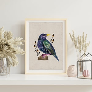 European Starling Bird Art Print, Cute Black Bird Art Print, Bird Art Print, Starling Illustration Print, Starling Art Wall Decor. AP-130