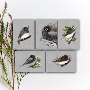 Ensemble de cartes postales Junco ardoisé, carte postale correspondant oiseau gris, autocollants aquarelle oiseaux colorés, impression d'art Junco ardoine. SBC-135