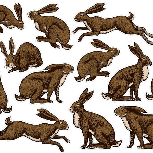 Vintage Inspired Wild Hare Planner Stickers, Bunny Junk Journal Stickers, Rabit Scrapbooking Stickers, Forest Animal Ephemera. VT-178