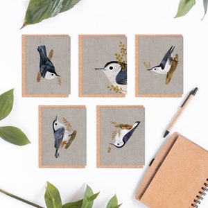 Lot de 5 ou 10 cartes de correspondance pliées Oiseau sittelle à poitrine blanche, Cartes Oiseau sittelle, carte de voeux oiseau, carte 5,5 x 4,25 ou 5 x 7 pouces. SBA2-131