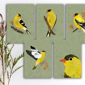 Lot de cartes postales Chardonneret jaune, cartes postales oiseaux jaunes colorés, autocollants oiseaux jaunes colorés correspondants, impressions d'art aquarelle oiseaux. SBC-104