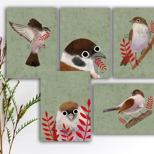 Huismus ansichtkaart set, mus stickers, vogel penvriend ansichtkaart, kleurrijke vogel stickers, aquarel schattige vogel kunstafdruk. SBC-112