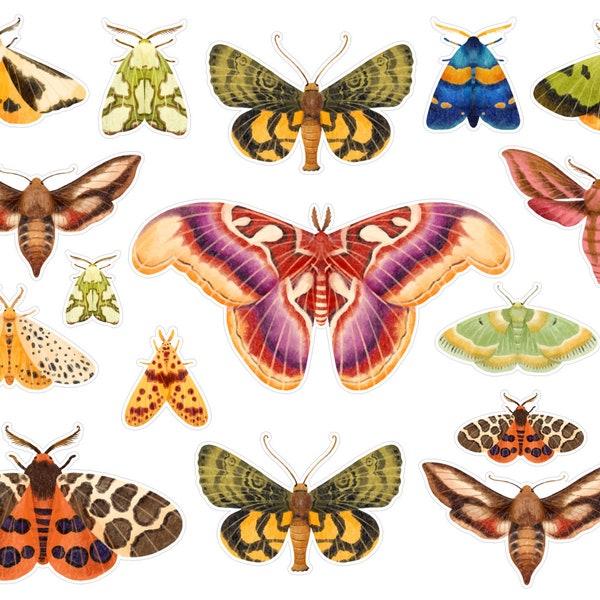 Colorful Moth Stickers, Entomology Butterfly Insects Junk Journal Stickers, Insect Moth Ephemera, Colorful PenPal Moth Stickers. A-191