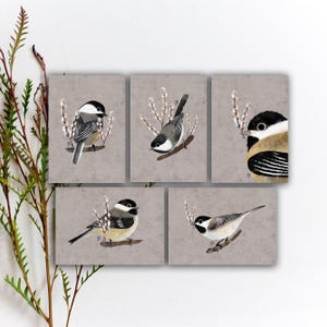 Ensemble de cartes postales oiseau mésange à tête noire, carte postale plume oiseau, autocollants aquarelle oiseaux colorés, impression d'art oiseau mignon. SBC-136