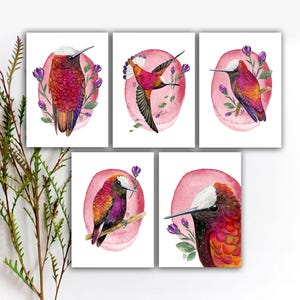 Cartes postales d'oiseau de colibri de bonnet de neige, carte postale d'oiseau d'aquarelle de crayon, carte postale d'art d'oiseau, cartes postales de colibri rose. PC-113