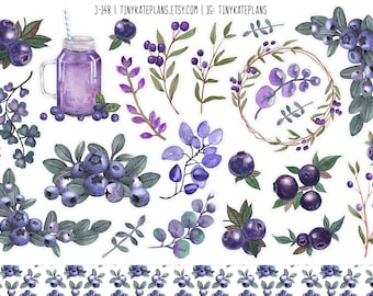 May include: A set of watercolor stickers featuring blueberries, leaves, and branches. The stickers are perfect for adding a touch of nature to your planner, journal, or scrapbook.